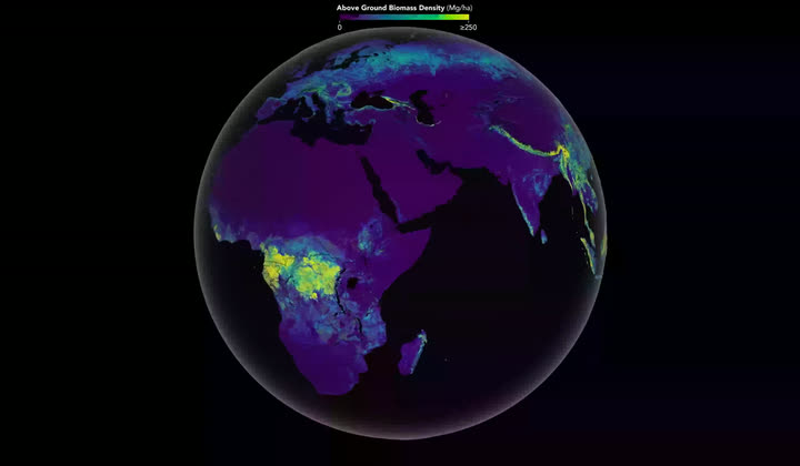 Global above-ground biomass density rendered as a globe, from GEDI and ICESat-2