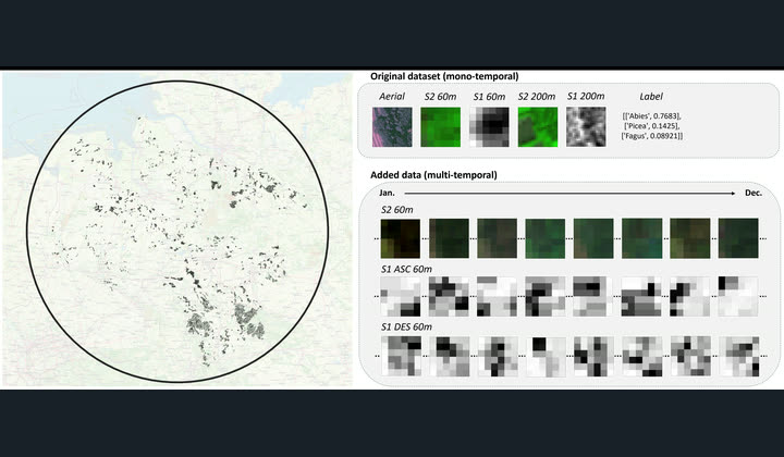 Figure from the TreeSatAI Time Series dataset card showing aerial, Sentinel-1 and Sentinel-2 samples
